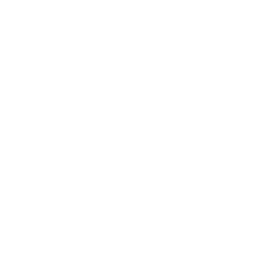 icône festivité