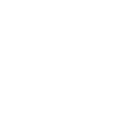icône fête