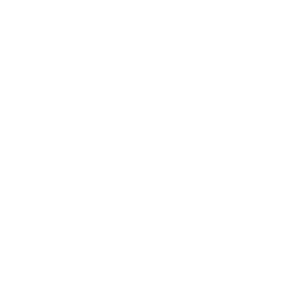 icône fête